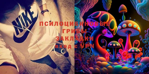 ПСИЛОЦИБИНОВЫЕ ГРИБЫ Новый Уренгой