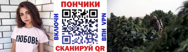 Бошки марихуана Bruce Banner  мориарти телеграм  Медынь 
